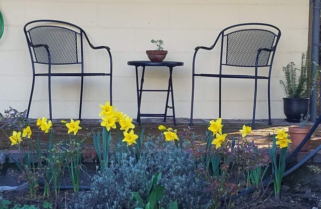 Executive Oasis on Top of Queen Anne Hill