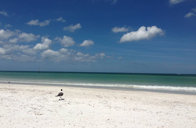 Family Friendly Beach Retreat, Short Walk to the Beach