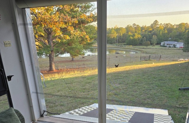 Farm experience 3-bedroom tiny uome in Water Valley with AC -emus/donkey/cow ect