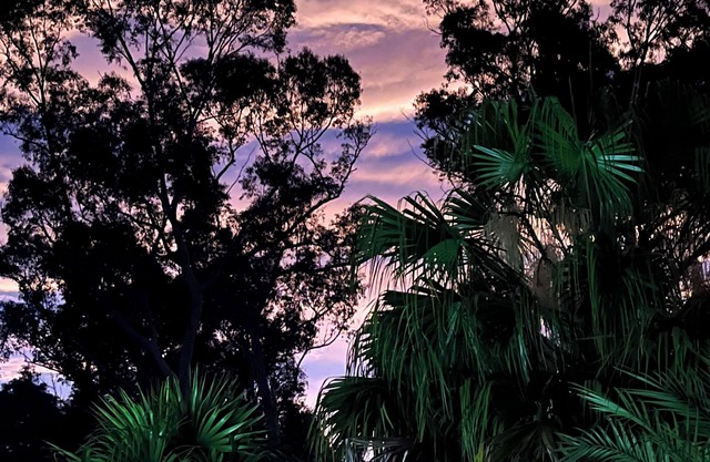 Farmstay with inground pool and entertainment area