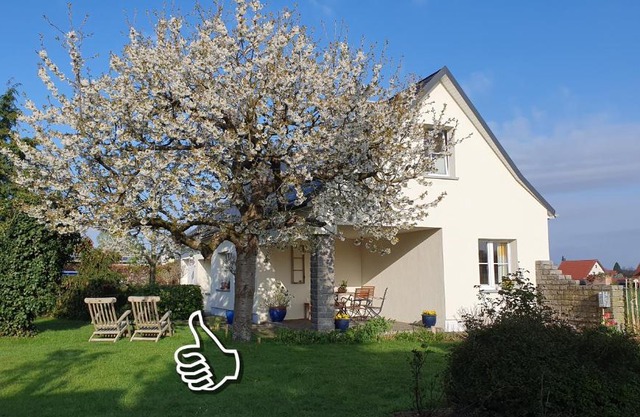 Ferienhaus Hummel-Nest