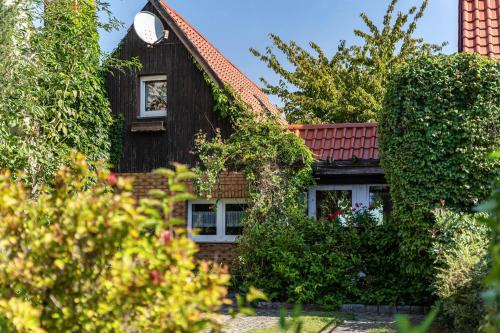 Ferienhaus Kornblume