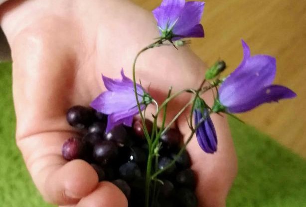 Ferienwohnung im Haus Böll