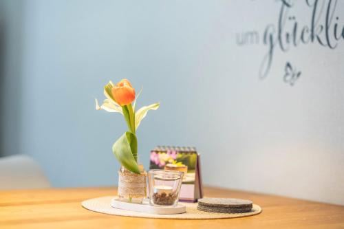 Ferienwohnung Klein und Fein