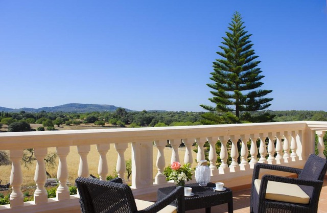Finca Miquel Tomas