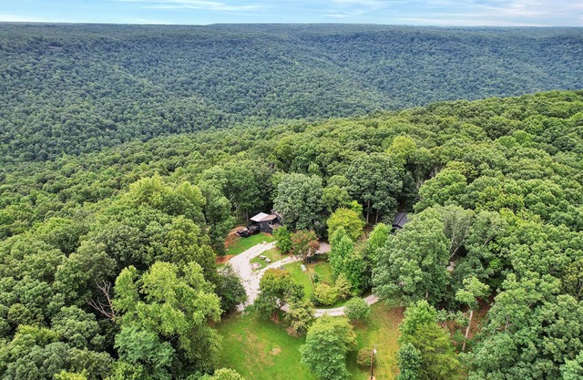 Forest At Weblon's Retreat
