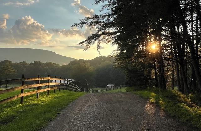 "Fox View Cottage" Breathtaking Views, Pet-Friendly, Wheelchair accessible!