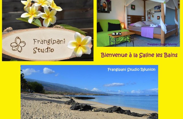 Frangipani Studio Réunion