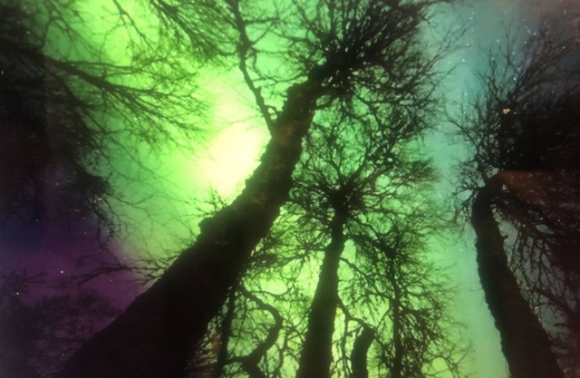 Getaway Home bordering beautiful Capt. Cook Park recreation area!