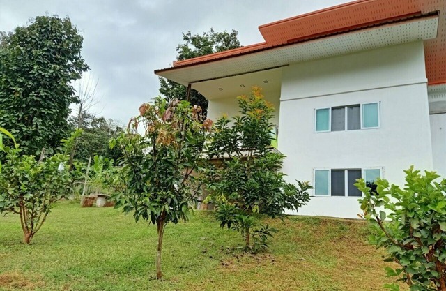 GJ TOUR Cozy homestay in beautiful Pangmapha, Tham Lot with AC.