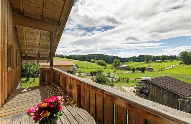 'Green' Mattress Dormitory with Shared Terrace & Garden, WITHOUT Kitchen