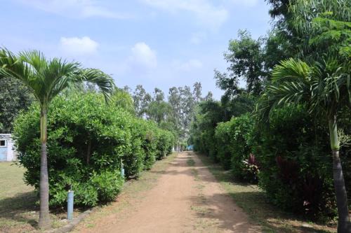 Hampi Blue Moon Resort