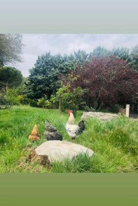 havre de paix au cœur de la provence p