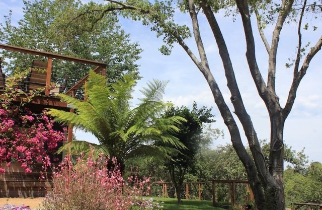 Heart of the Wine Country Estate 5BR , 14 beds