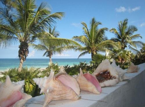 HoHum - Private Beachfront House on Exclusive Windermere home