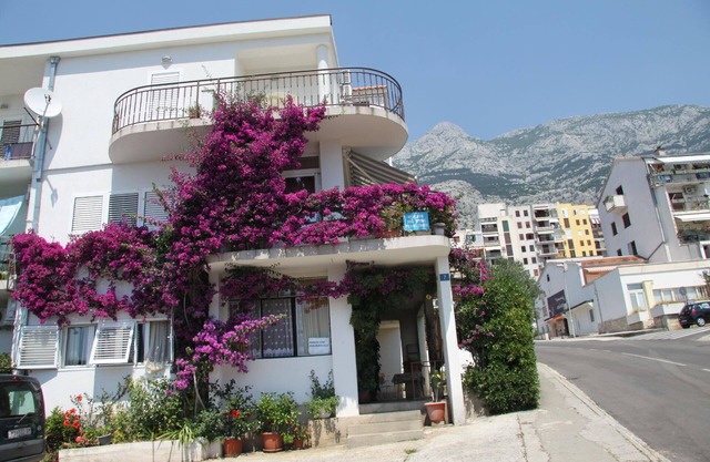 Holiday apartment Makarska for 1 - 2 persons - Holiday apartment in one or multi-family house