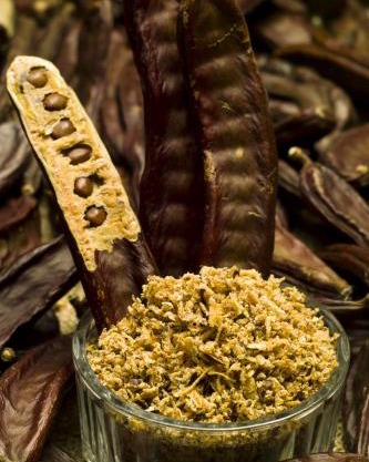 Holiday Home (139-2)