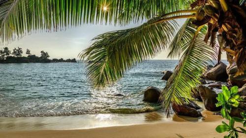 Hotel The Baga Central