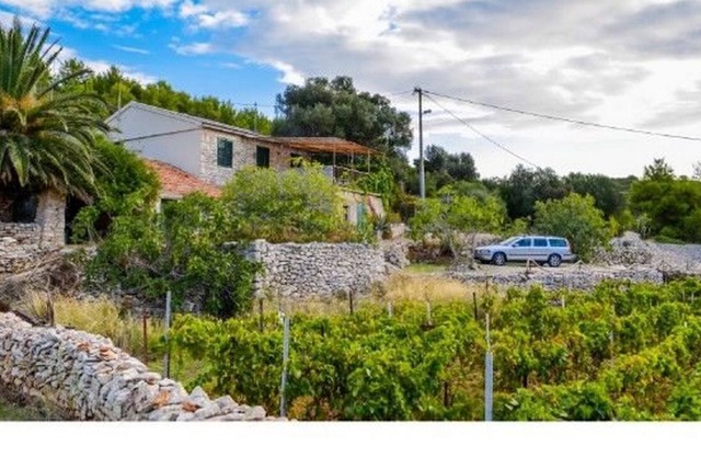 House Nike (41121-K1) - Vis - island Vis