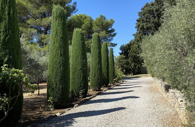 house with peaceful pool, south Luberon, between vineyards and olive trees