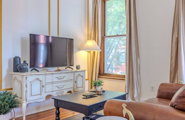 Huge 1br apt, baby-friendly, dogs, walkable downtown