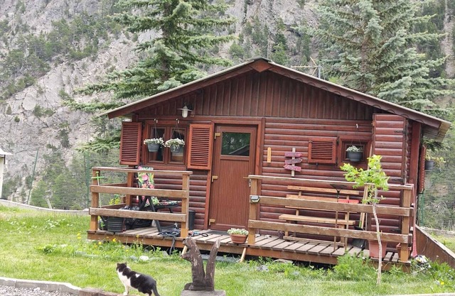 I want to cancel my ad