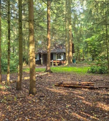 Idyllisch & ruhig - gemütliches Ferienhaus im Wald Hunde willkommen, in Hatten, nahe Oldenburg