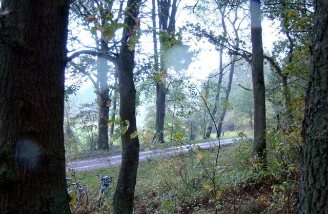 in the estate worker's house