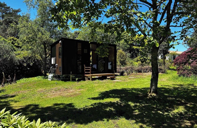 Kereru Creek by Tiny Away