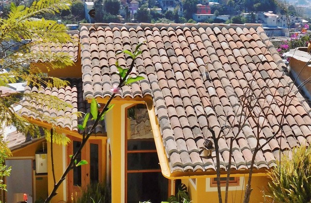 La Casa de las Aves - Maison D'architecte - Vue Incroyable & Jardin