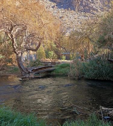 La cabaña del rio Rivadavia