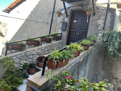 La Casa Dei Fiori