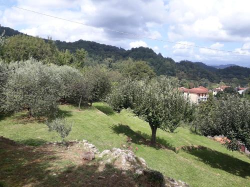 La casetta di Bianca