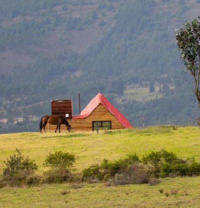 la cima de los frailejones