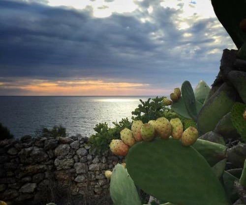 La Marchesa di Castiglione