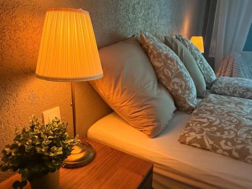 La Perle du Donon - Col du Donon - Grandfontaine