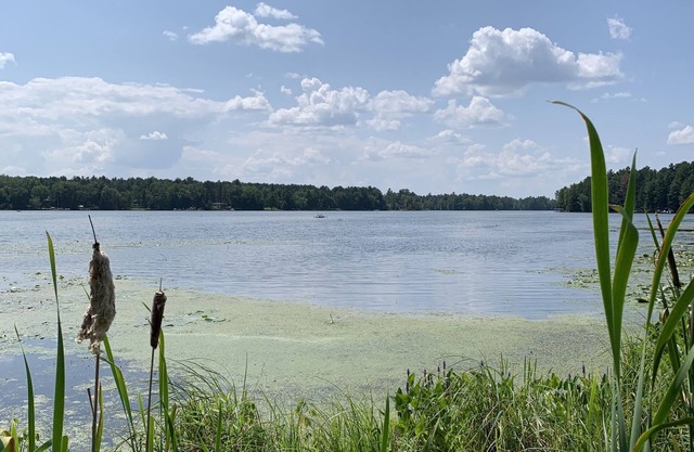 Lake Alice Duck Bay Chalet, Atv/Utv Snowmobile Hunting Paradise!
