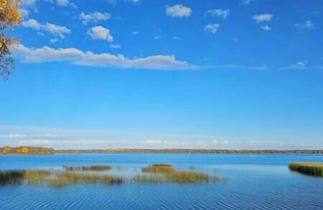 Lakeside Landing on Ida~ Dock~ Bunkhouse~ Firepit