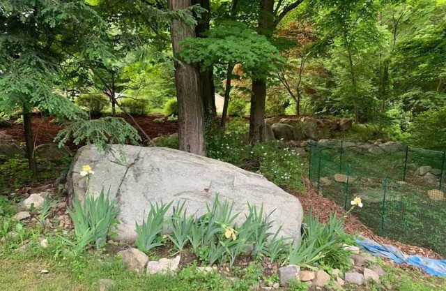 Large 900 sf luxury property in the nature