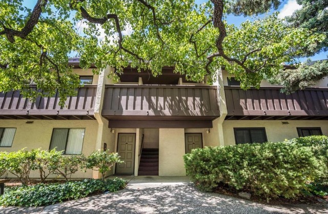 Large and full of light apartment next to Google, Apple, Stanford in the heart of Silicon Valley