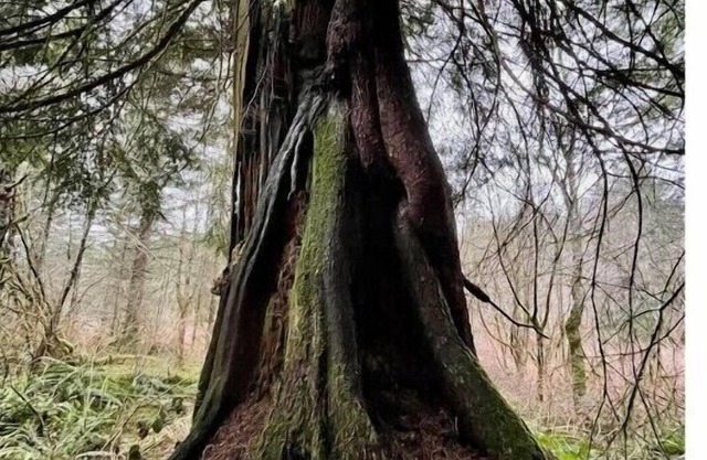 Large Custom Home with a Hot Tub & Spa on 80 acres