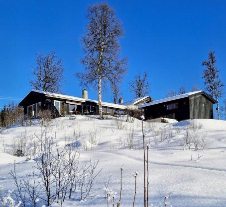 Large Secluded Cabin With Spa And View In Valdres