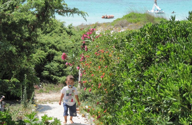 "LAST MINUTE September" house on the white beach, crystal clear sea