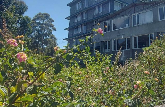 Lazo Eucy Paradise Resort