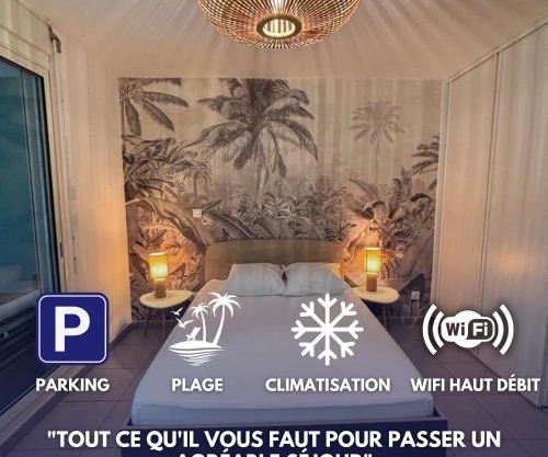 Le Corail - plages - parking - clim - wifi