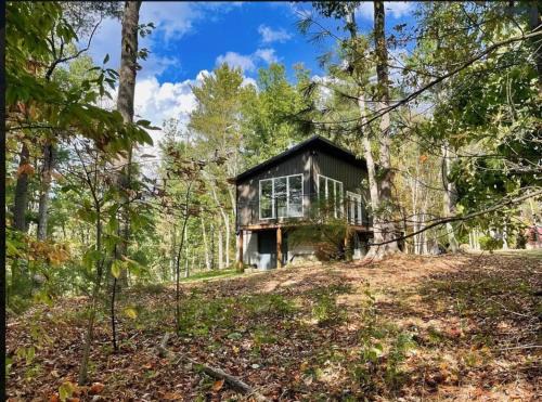 Lily Pad at Nimitz - Private 19 Acre Cabin with Fire Pit & WiFi