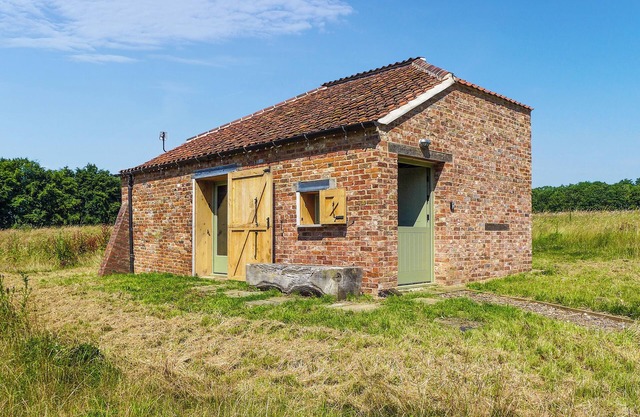 Lincoln Reds Lookout