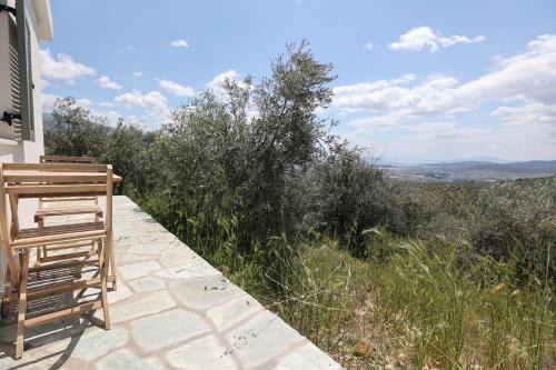 Little house in the olive grove