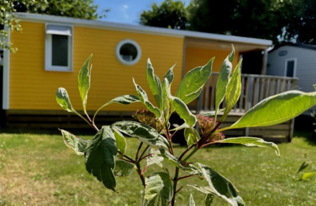 Location Mobil Home 2 ch 4 Personnes. La Touesse à Dinard, Plage à 300 Mètres