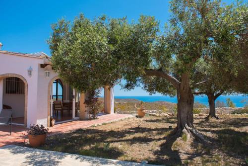 Los Lobitos by Aguilarent